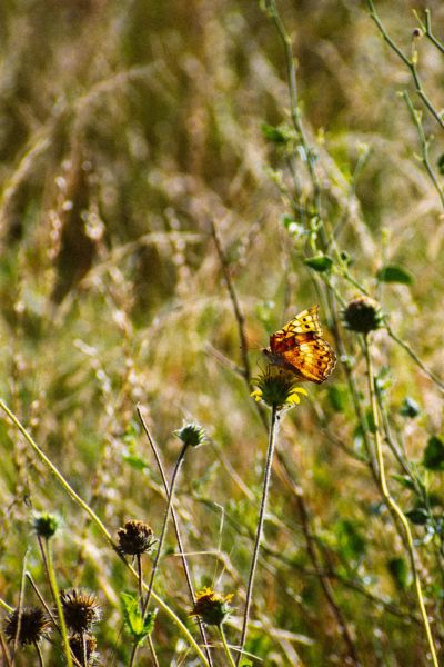 Legal update placeholder