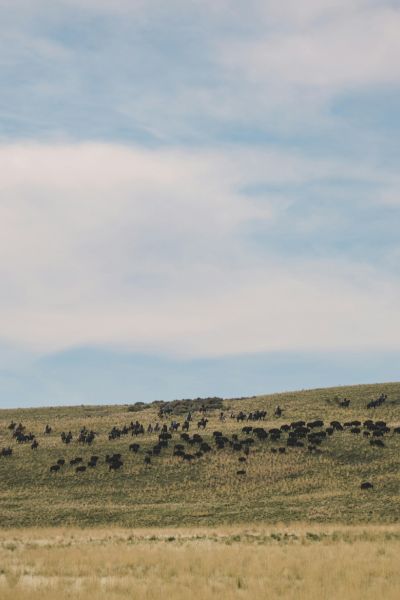 Legal update placeholder